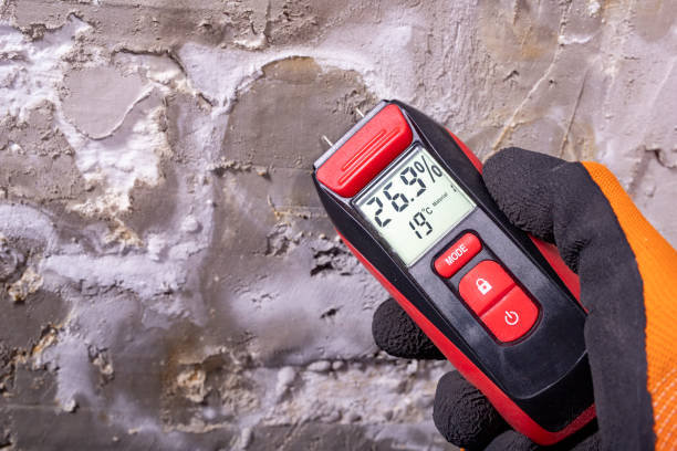 Best Best Mold Removal Companies  in Roman Forest, TX
