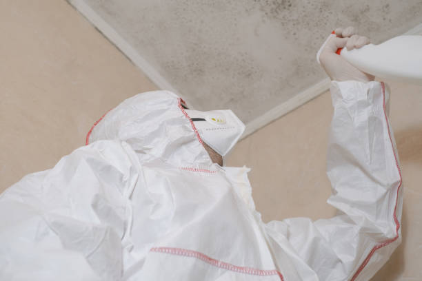Best Crawl Space Mold Removal  in Roman Forest, TX