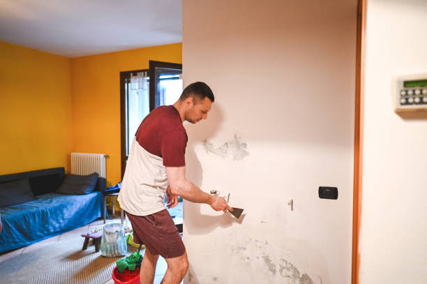 Best Residential Mold Removal  in Roman Forest, TX