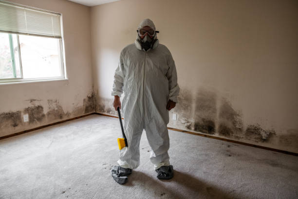 Best Mold Testing  in Roman Forest, TX